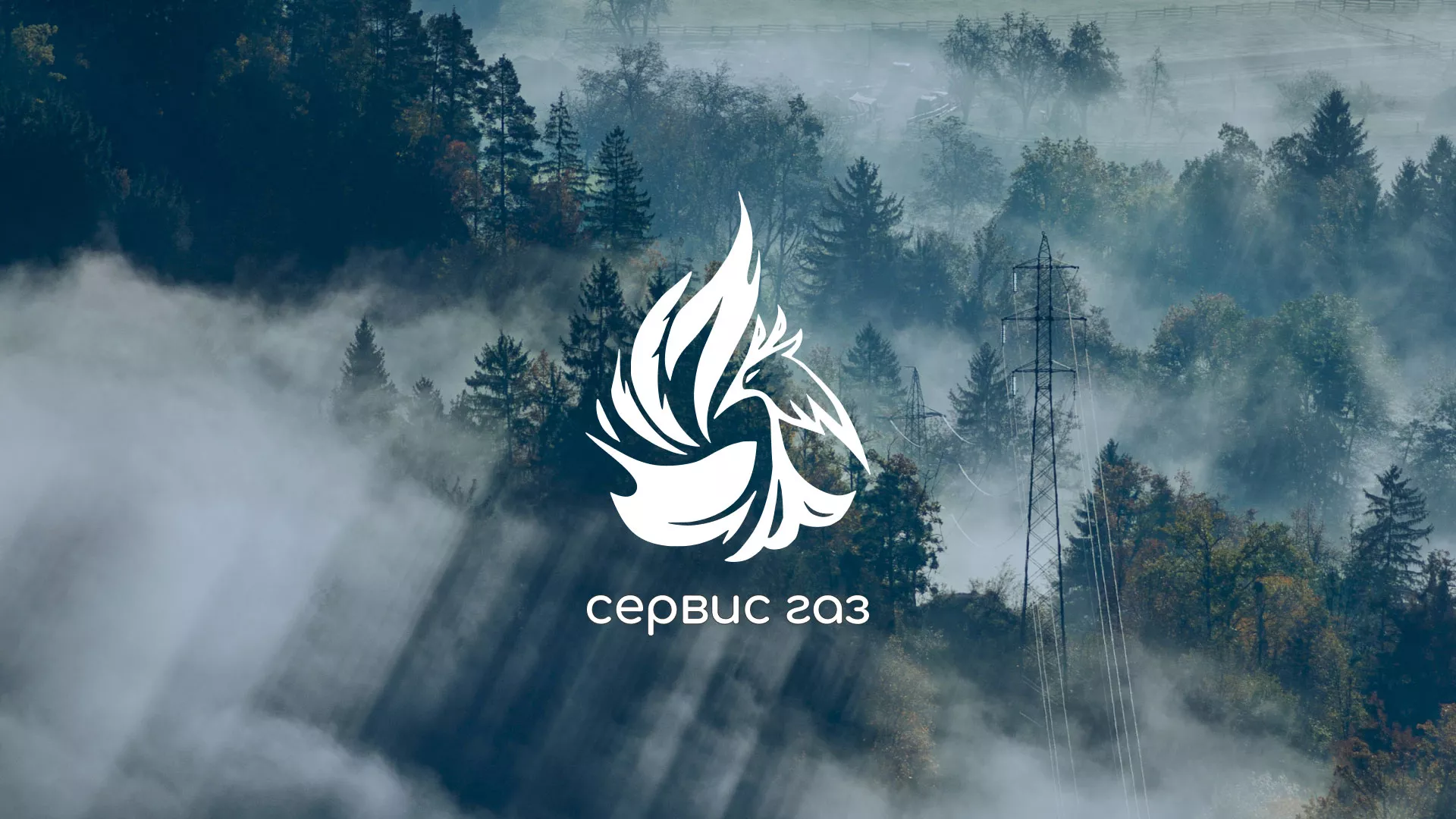 Создание сайта компании «Сервис газ» в Приозерске