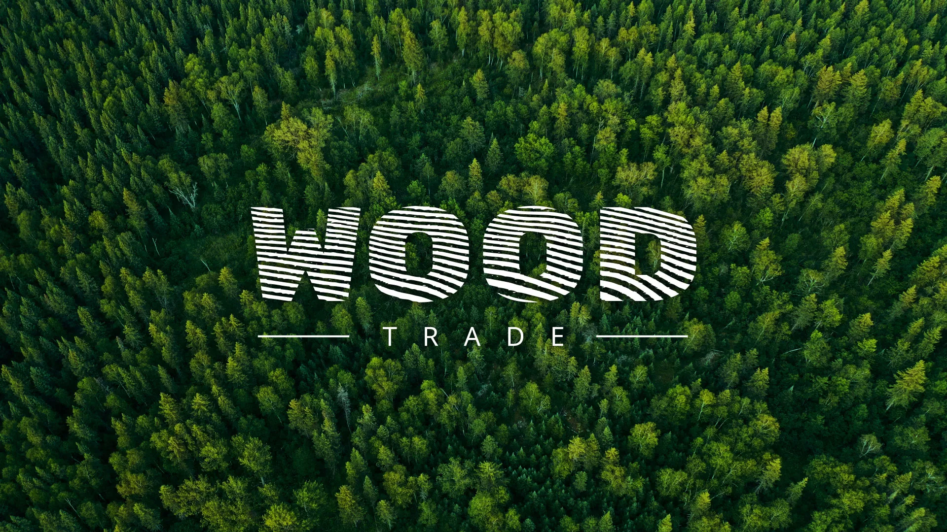 Разработка интернет-магазина компании «Wood Trade» в Приозерске