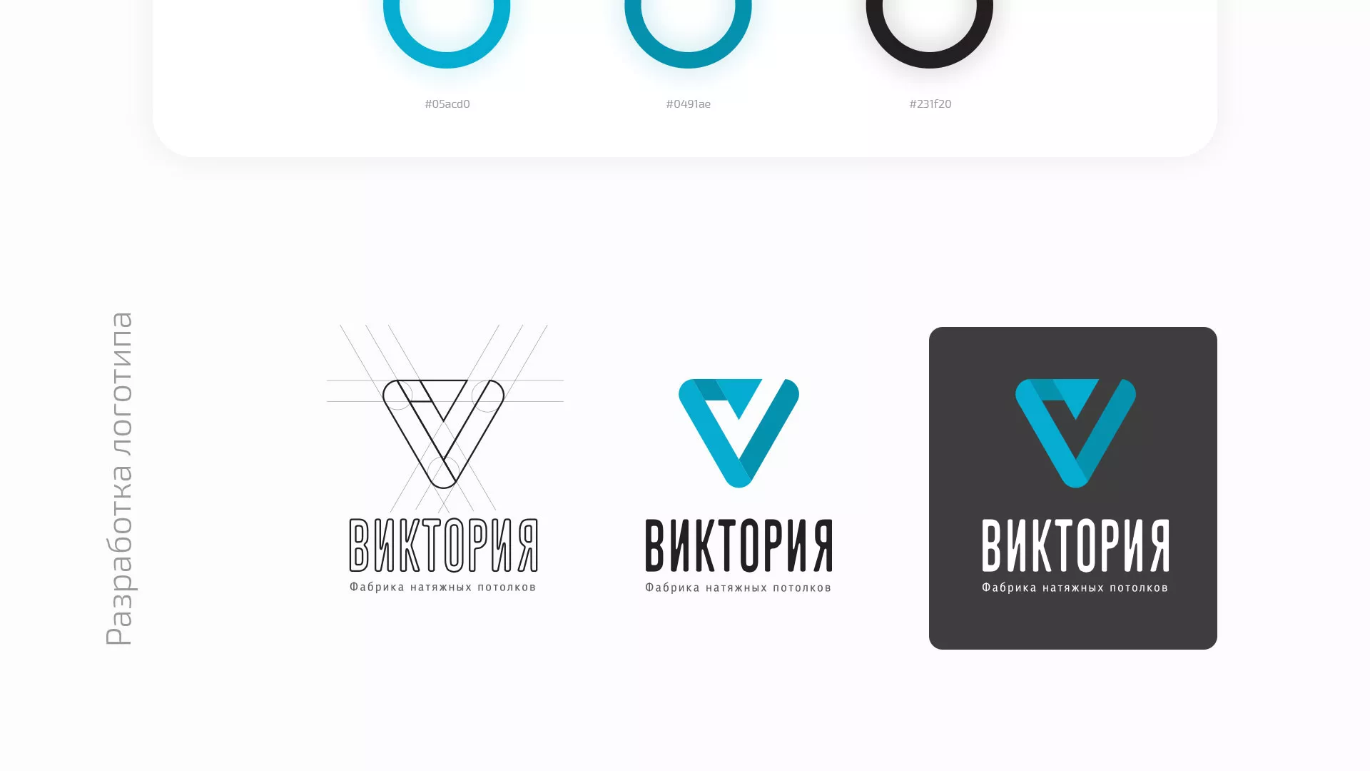 Разработка фирменного стиля компании по продаже и установке натяжных потолков в Приозерске