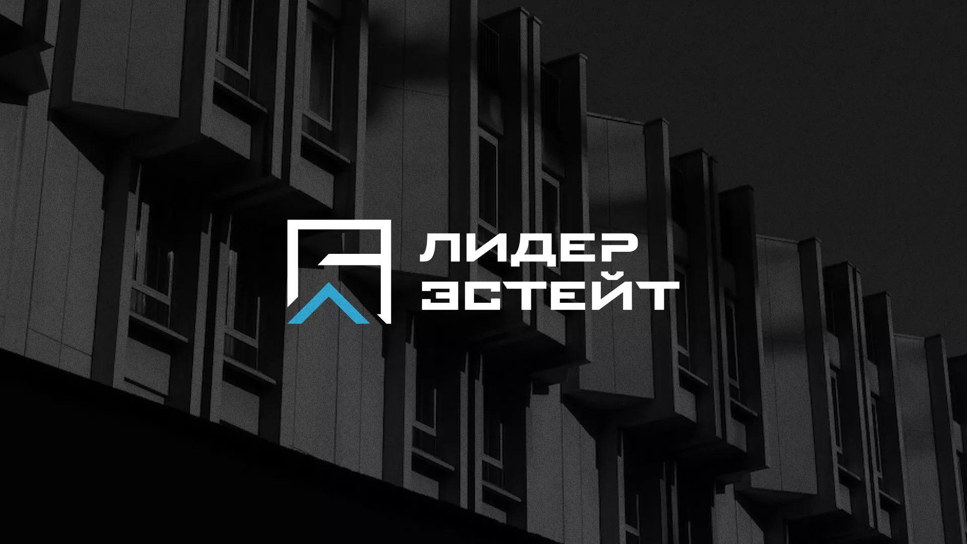 Разработка логотипа агентства недвижимости «Лидер Эстейт» в Приозерске