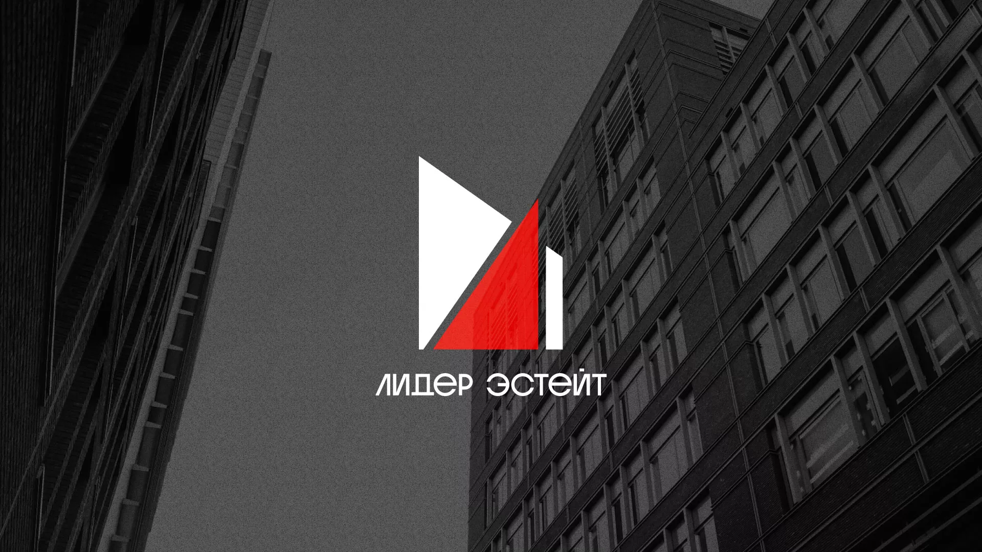 Сделали логотип для агентства недвижимости «Лидер Эстейт» в Приозерске